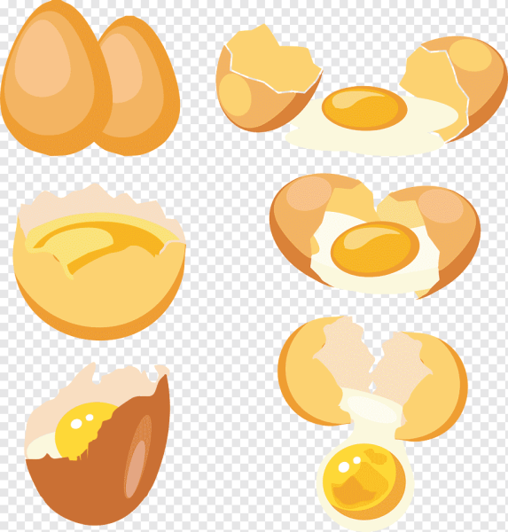 Разбитое яйцо вектор