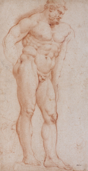 Анатомические штудии Микеланджело