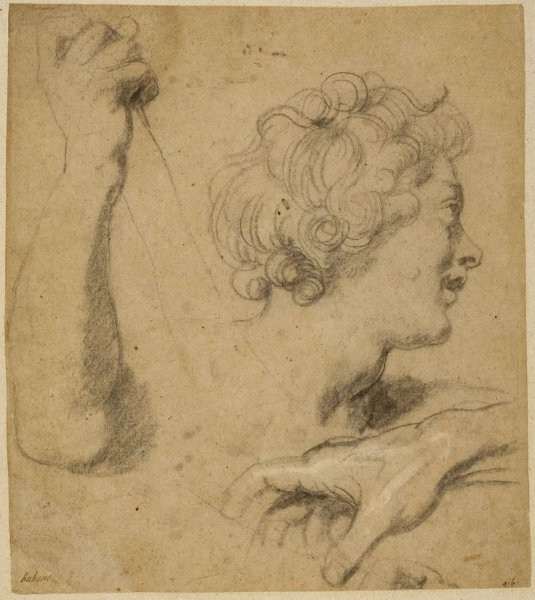 Питер Пауль Рубенс рисунки