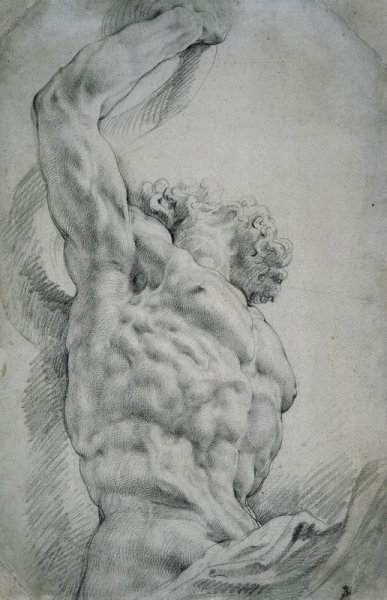 Рубенс Наброски портрета