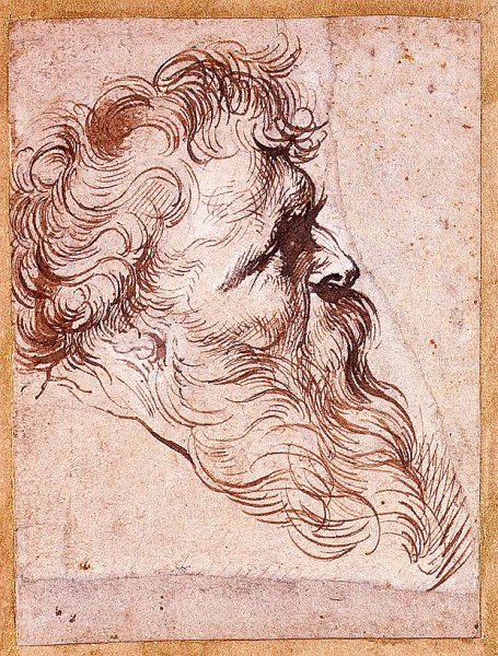 Рубенс портреты карандашом