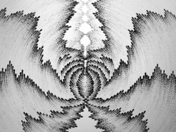 Художница Judith Ann Braun