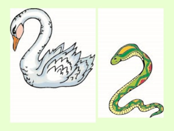 Цифра два лебедь