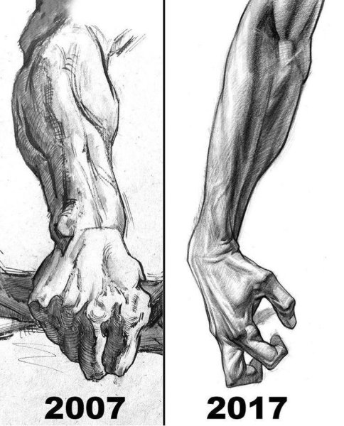 Гицеску пластическая анатомия