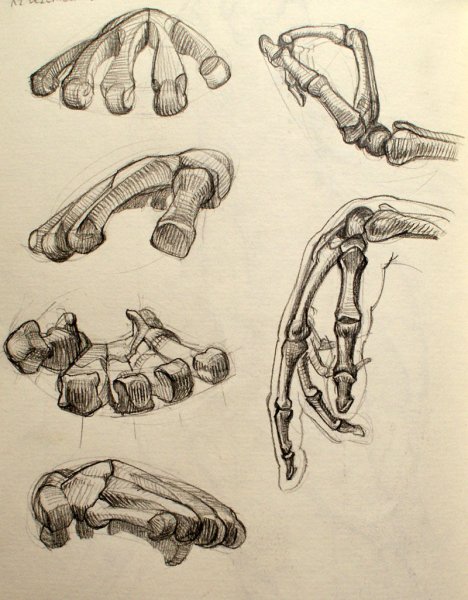 Готфрид Баммес руки