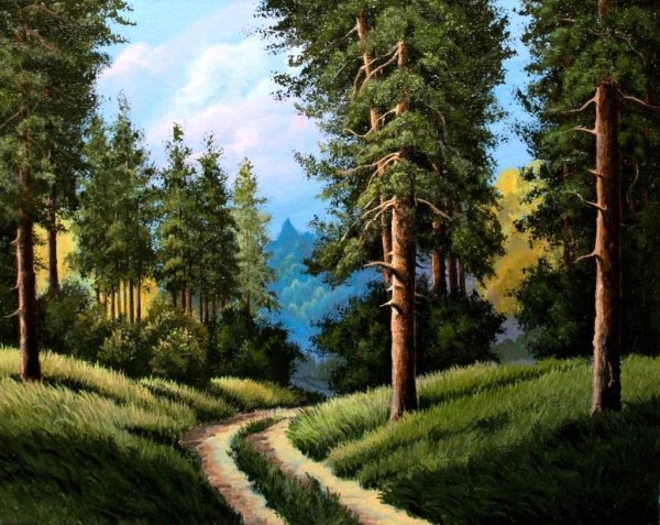 Пейзаж с лесом и тропинкой