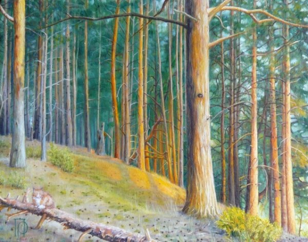 Картина Сосновый Бор Паустовского