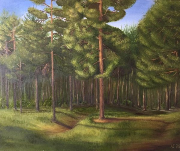 Сосновый лес". Художник- Богданова Светлана.