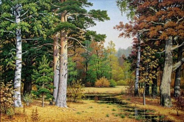 Художник Владимир Бебия