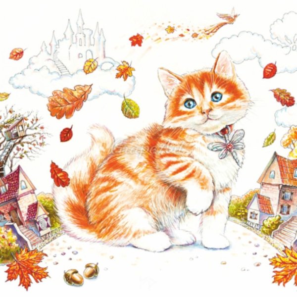 Картины котов