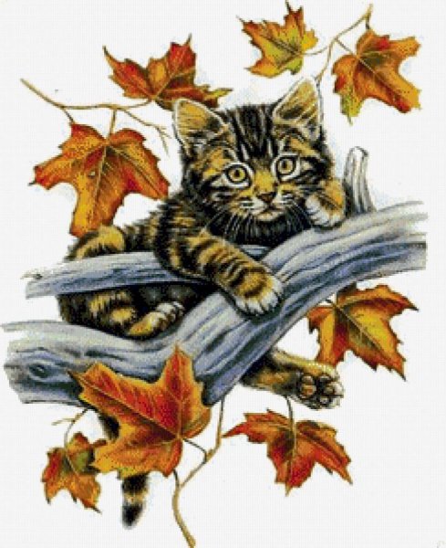 Кот на осенних листочках