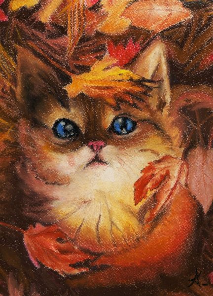 Осенний кот арт