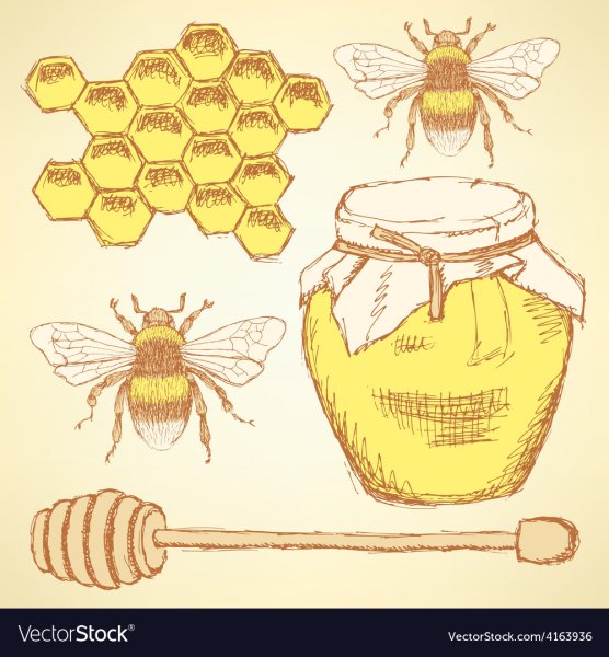 Рисунки на мед тему