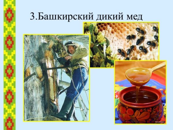 Семь чудес Башкирии, Башкирский мед