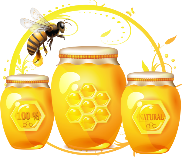 Мед иллюстрация