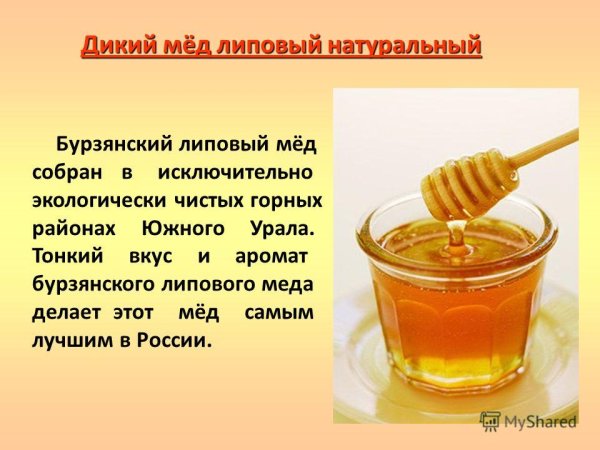 Башкирский липовый мед презентация