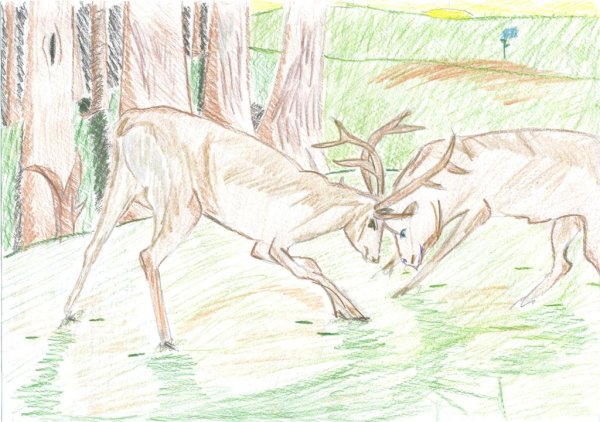 Несуществующий зверь рисунки