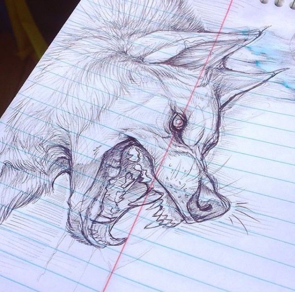 Несуществующих животных