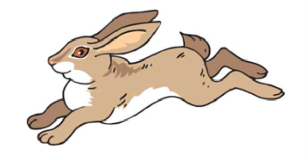 Заяц бежит для детей