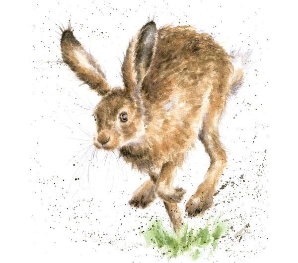 Заяц Русак акварели