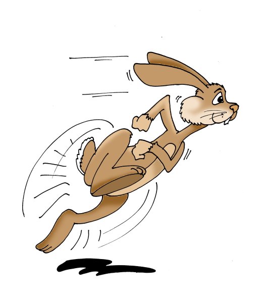Зайчик бежит