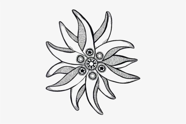 Графическое изображение эдельвейса