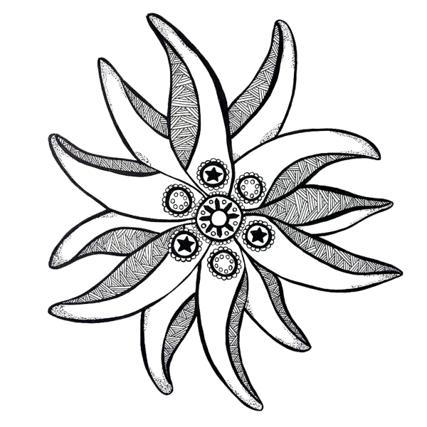 Эдельвейс цветок эскиз