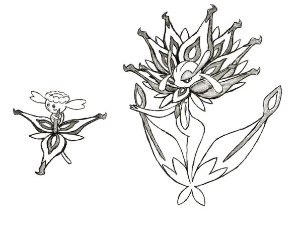 Эдельвейс раскраска