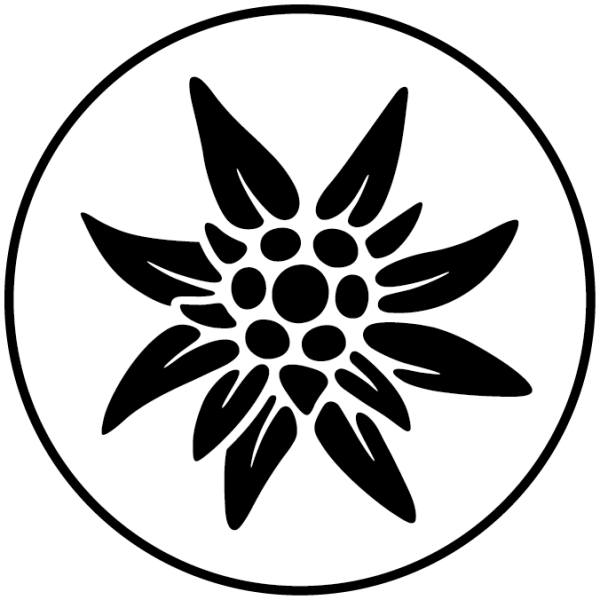 Эдельвейс цветок вектор