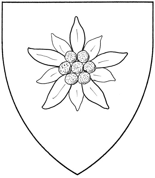 Эдельвейс трафарет