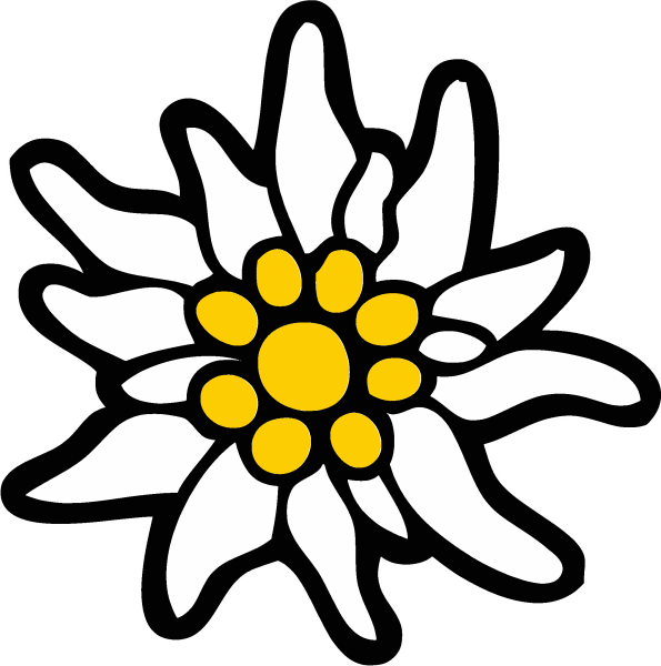 Эдельвейс цветок эскиз