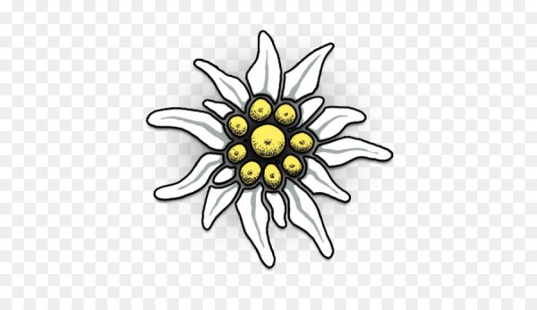 Эдельвейс вектор