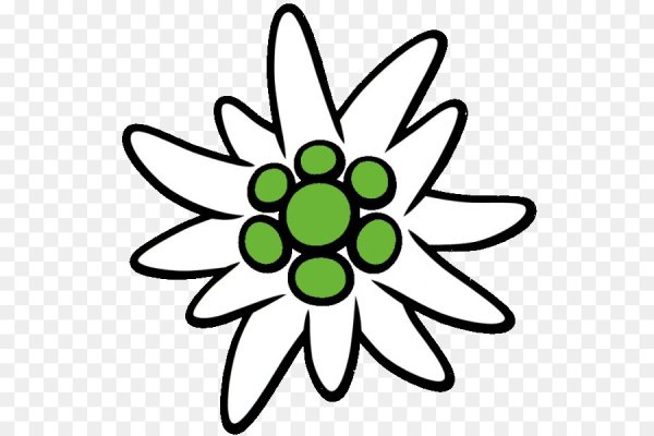 Эдельвейс Графика