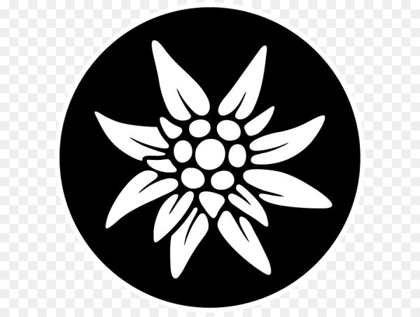 Цветок Эдельвейс символ