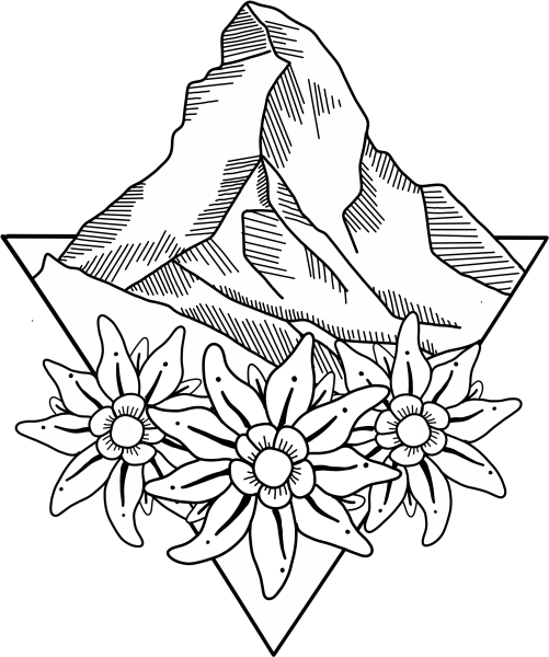 Эдельвейс эскиз