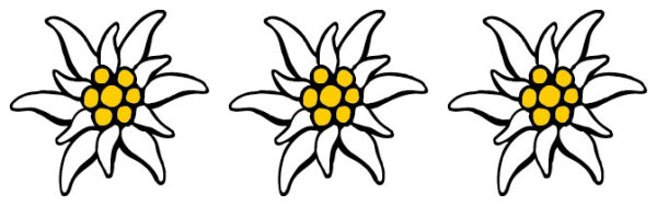 Контур цветок Эдельвейс