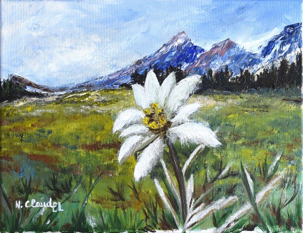 Эдельвейс акварель