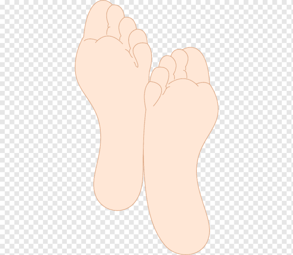 Контур стопы