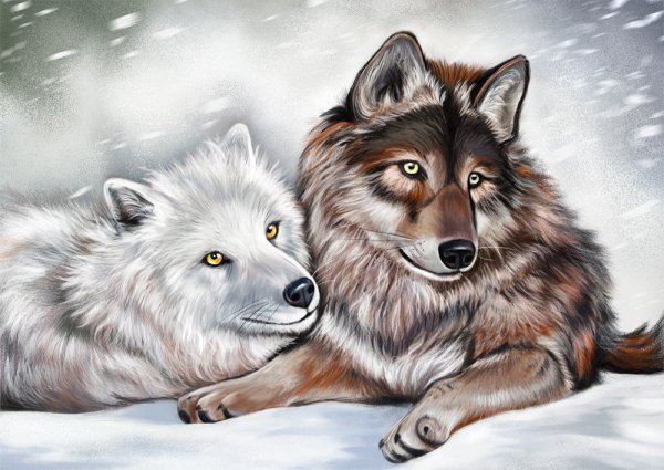 Картина пара Волков