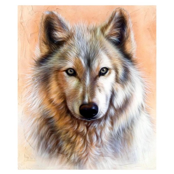 Волк портрет