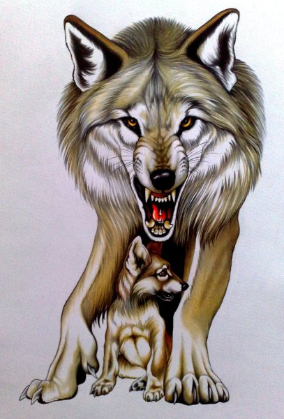 Нарисовать волка
