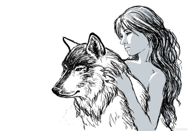Девушка и волк рисунок