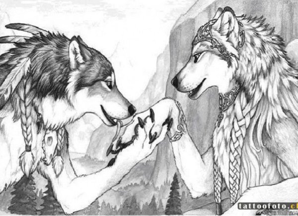 Два волка карандашом