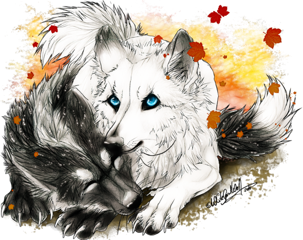 Влюбленные волки аниме