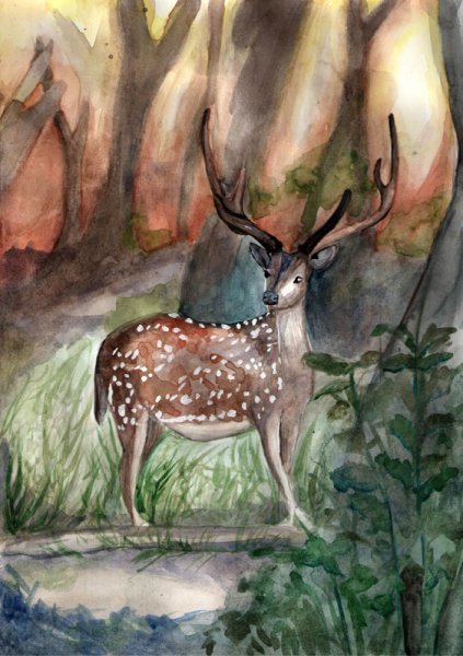 Уссурийский пятнистый олень для детей