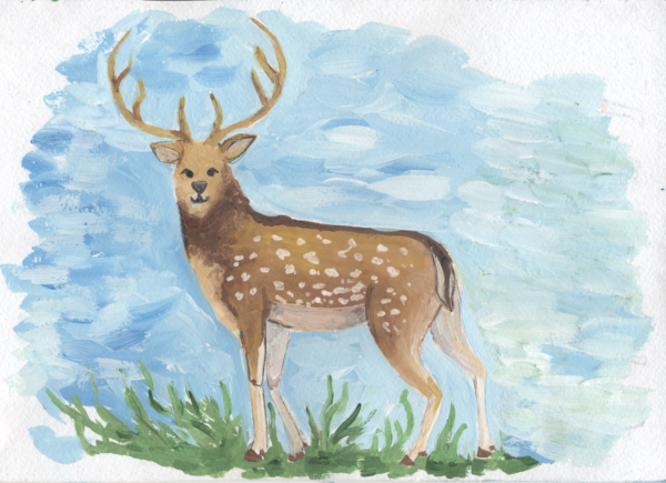 Пятнистый олень карандашом