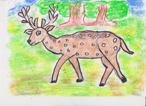 Рисунки пятнистый олень детские