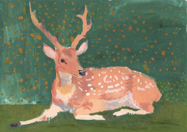 Уссурийский пятнистый олень рисунок