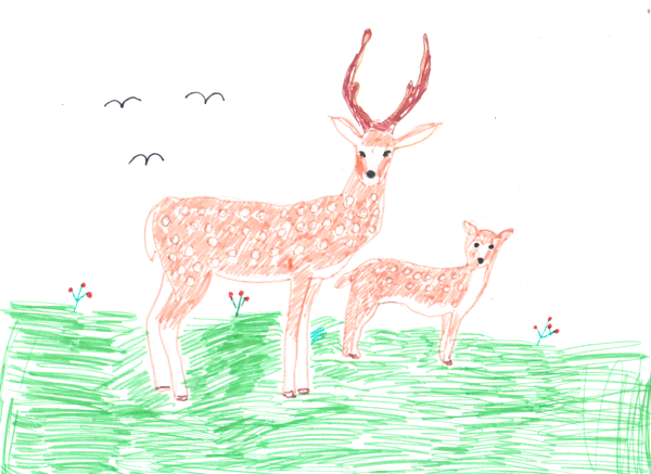 Пятнистый олень рисунок детский