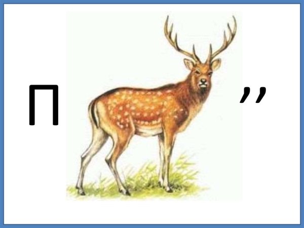 Уссурийский пятнистый олень для детей